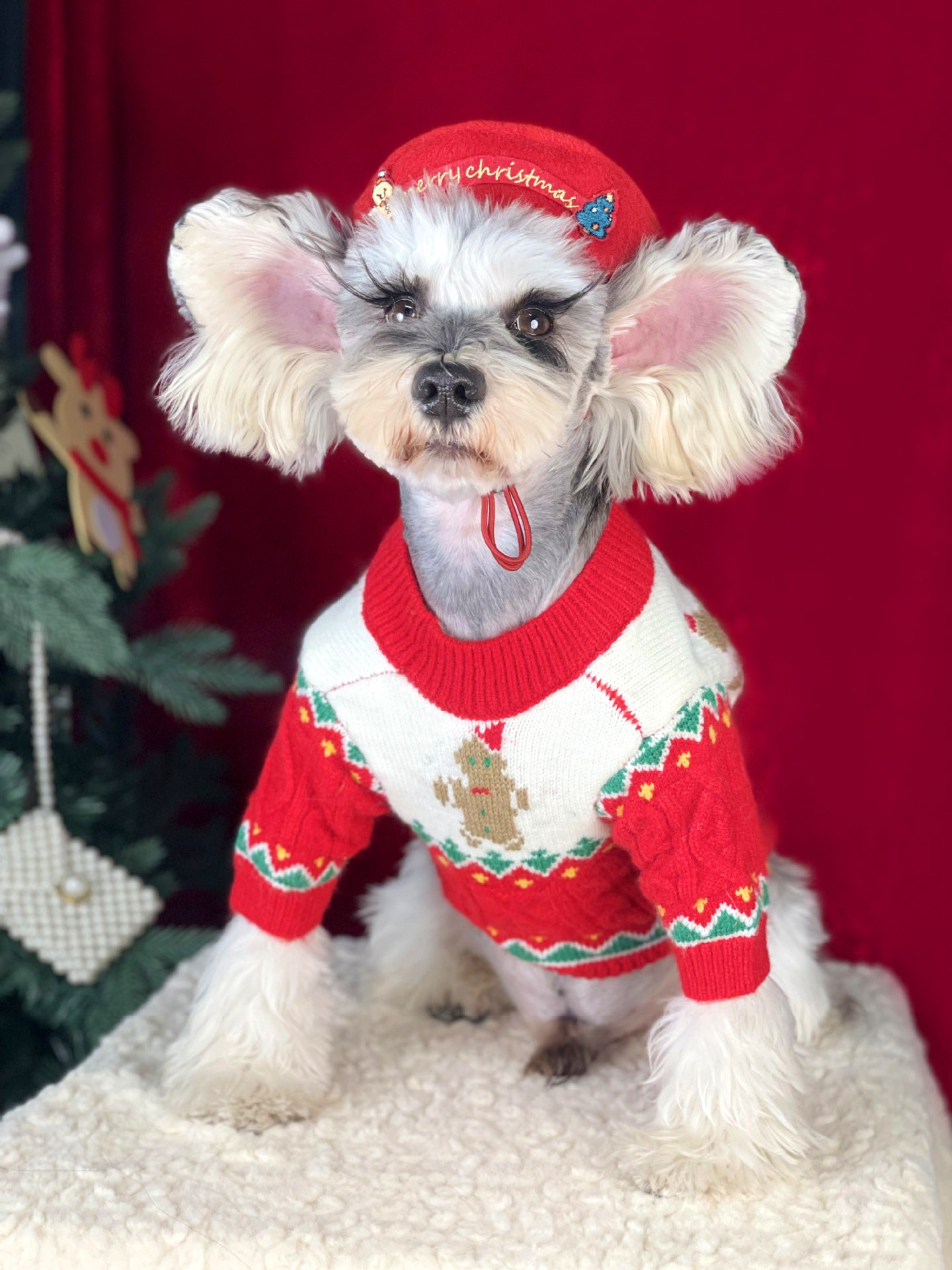 Christmas Dog Sweater Cozy Knitted Holiday Pet Jumper Pullover with Gingerbread Design Warm Winter Apparel