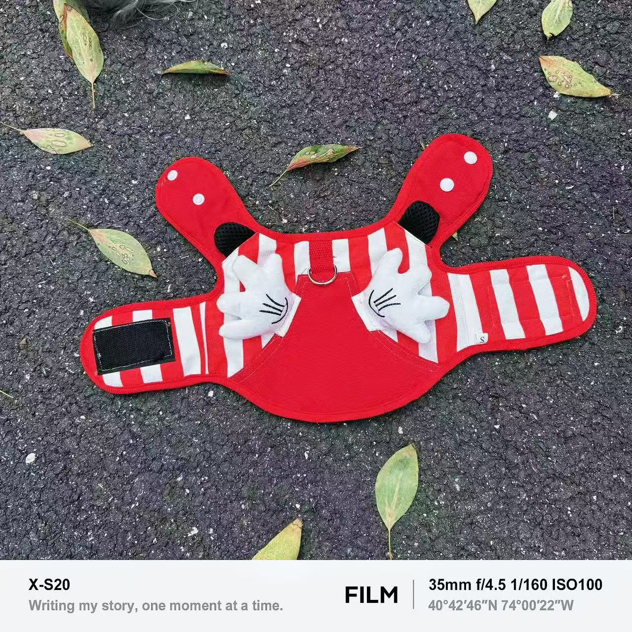 Flat lay of a red striped wing dog harness vest with D-ring and hook-and-loop side panel