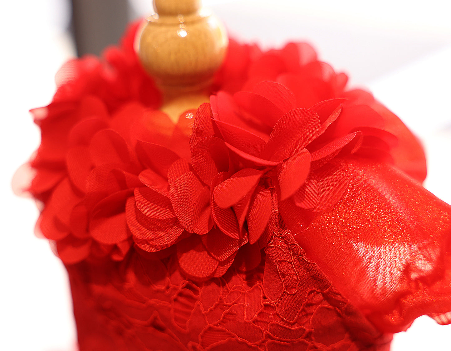Dog Wedding Dress Red Rose Fairytale