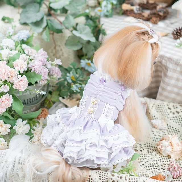 Luxury design dog dress velvet rose 2 colors Jane's Pet Boutique Luxury design dog dress velvet rose 2 colors Jane's Pet Boutique