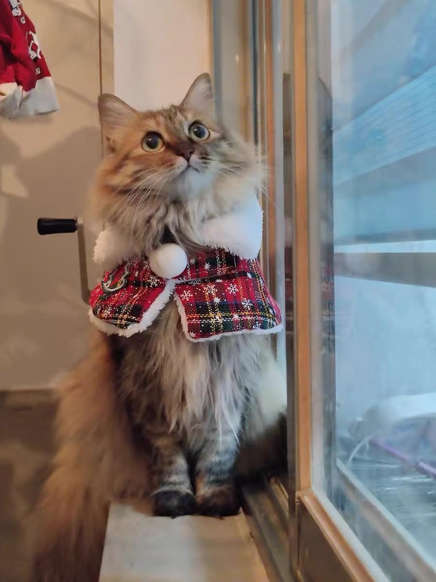 Plaid Pet Christmas Collar Cape