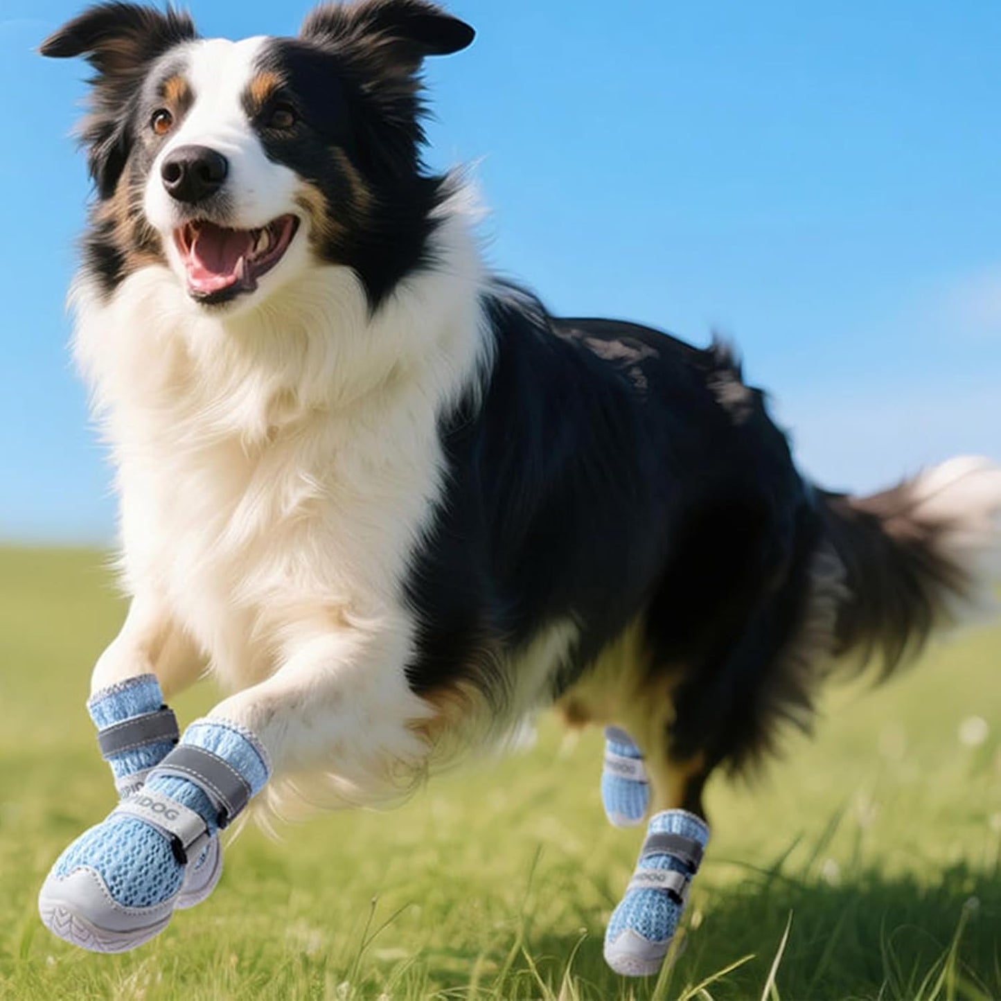 Breathable Dog Shoes with Anti-Slip Sole & Reflective Straps