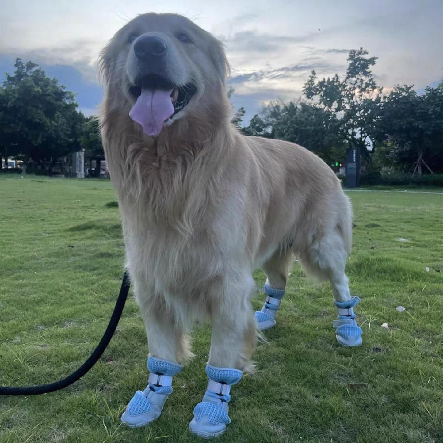 Breathable Dog Shoes with Anti-Slip Sole & Reflective Straps