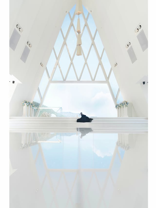 Black Dog Wedding Dress with Detachable Train