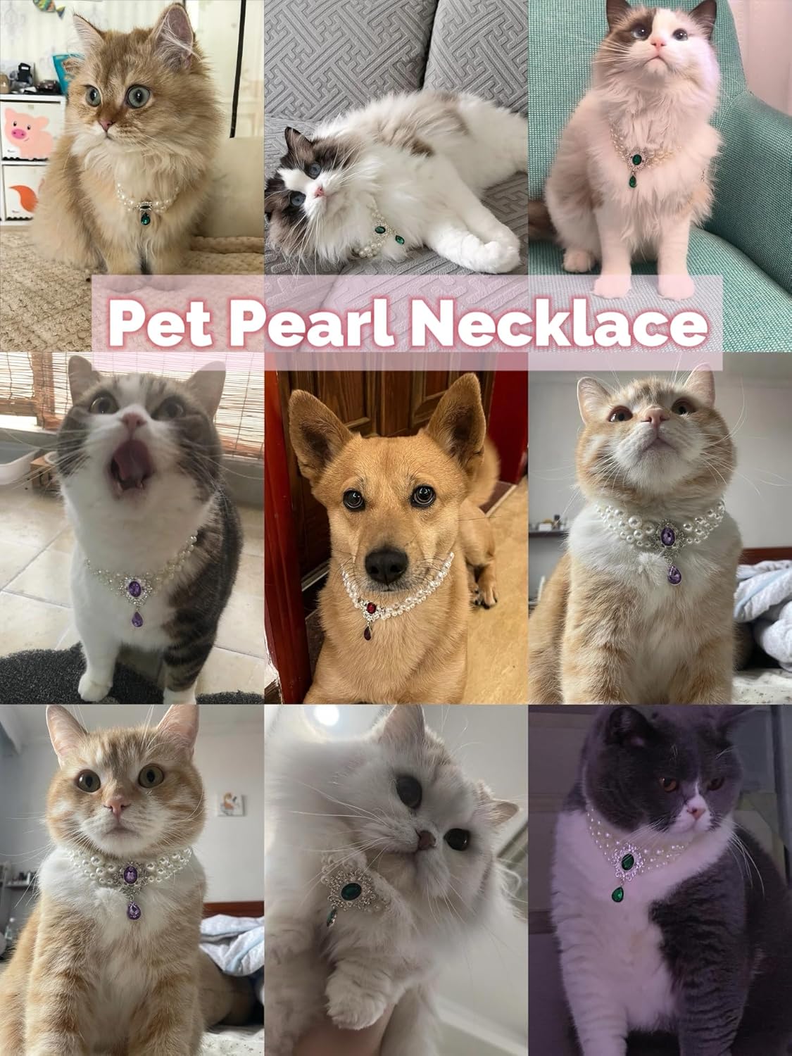 Pearl Pet Necklace with Gem Pendant