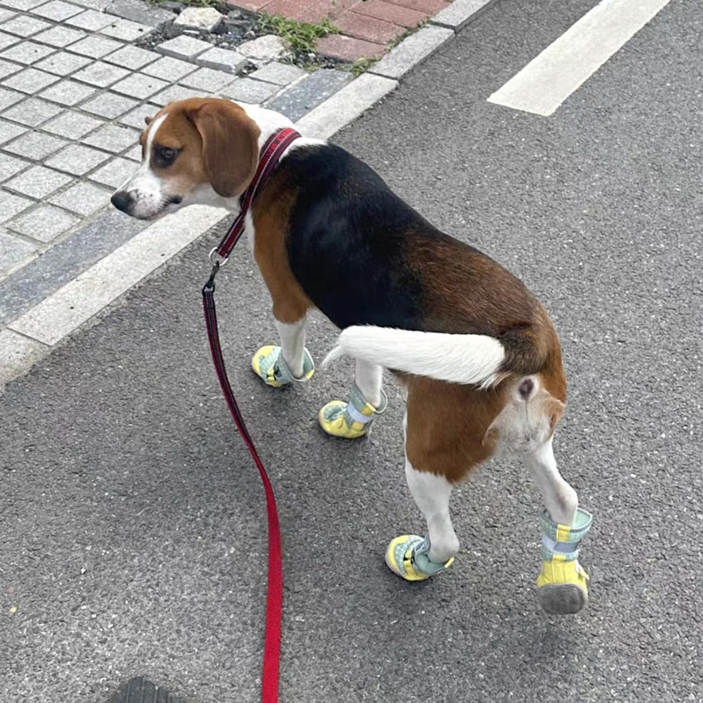 Breathable Dog Shoes with Anti-Slip Sole & Reflective Straps