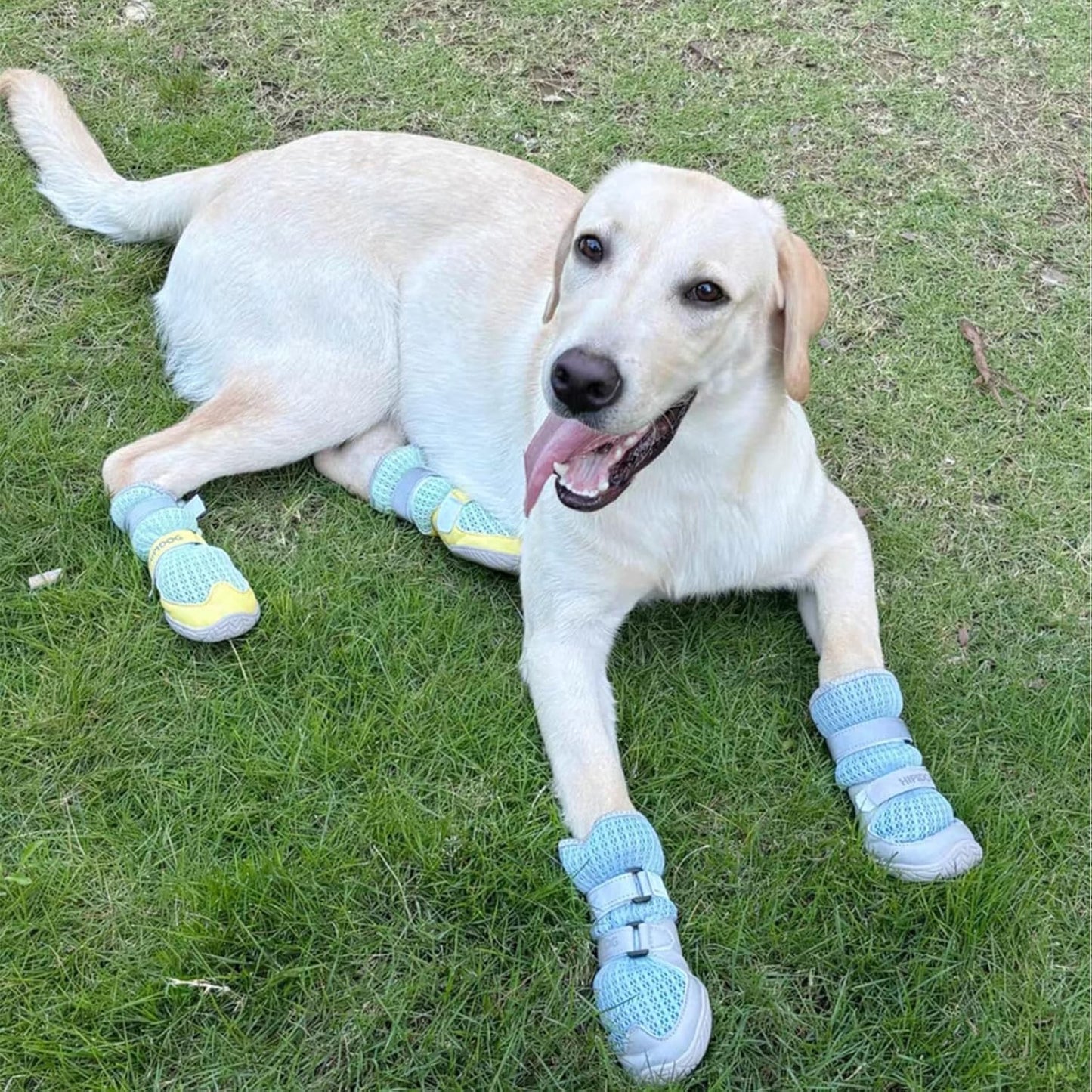 Breathable Dog Shoes with Anti-Slip Sole & Reflective Straps