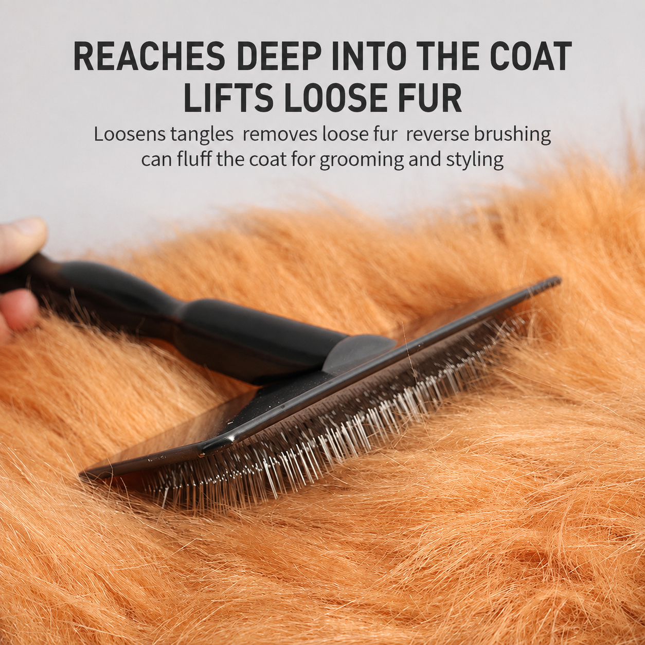 Black pet slicker brush lifting loose fur from orange coat