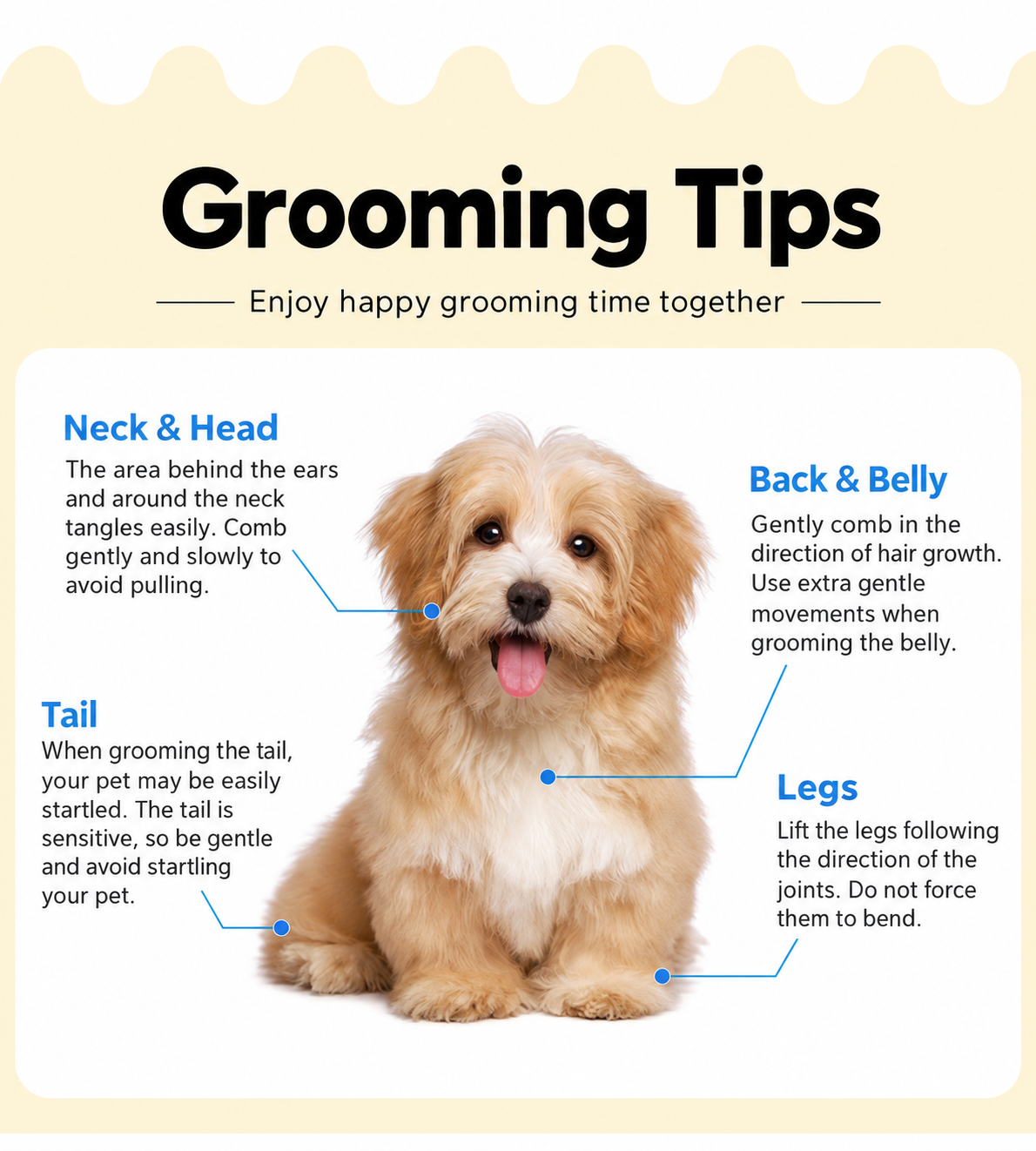 Dual-Tooth Metal Pet Grooming Comb for Dogs & Cats