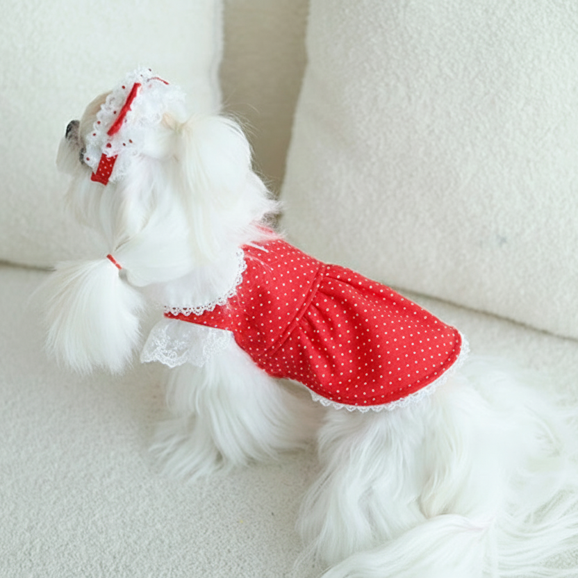 Dog dresses 2-piece set red cute dot
