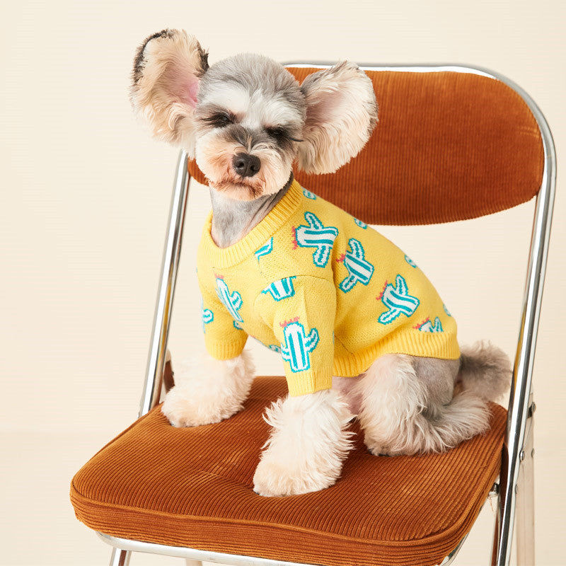 Dog sweater blue cactus