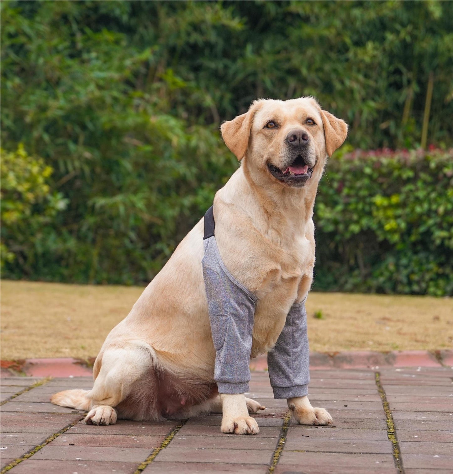 Dog Elbow Protector Sleeves