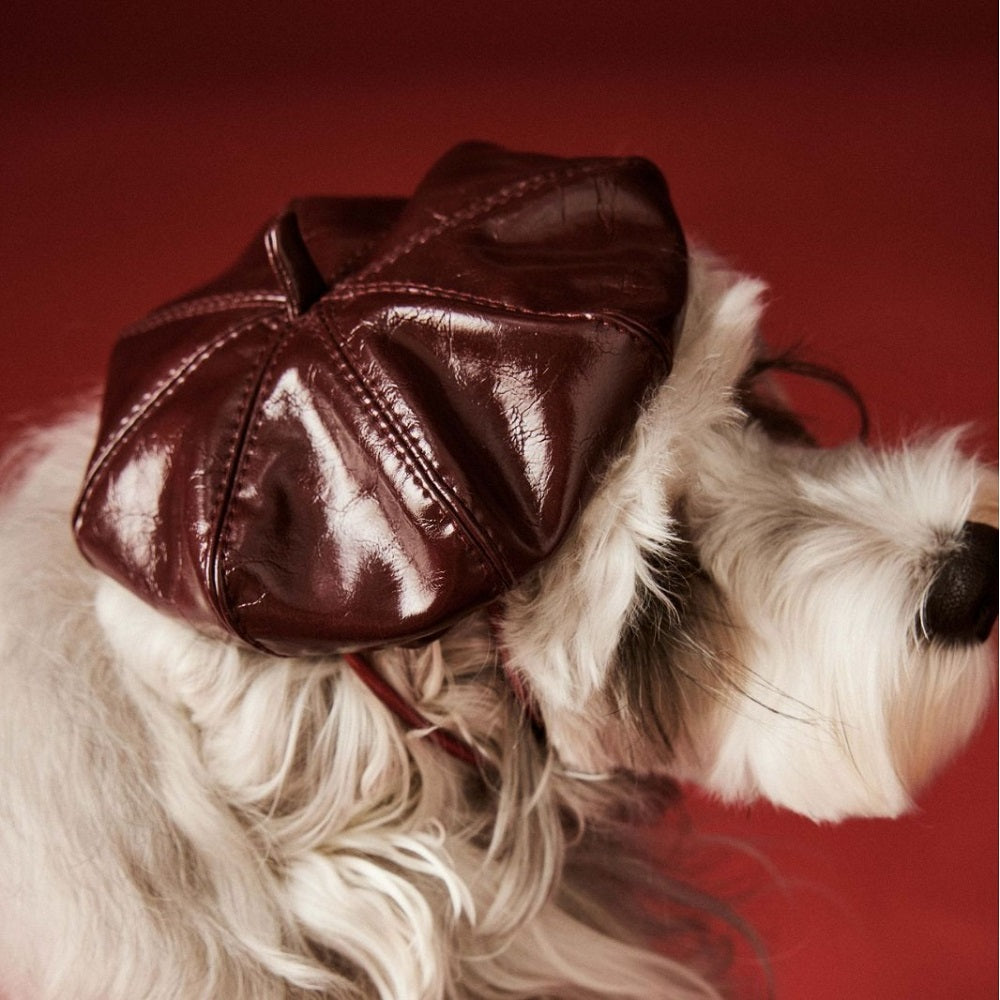 Leather Beret Pet Dress with Hat boutique pet product detail photo 10