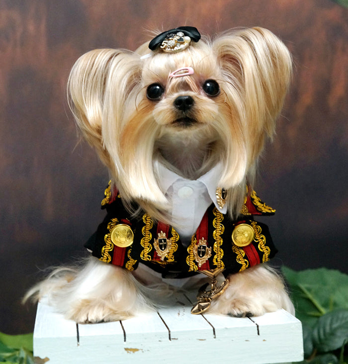 Prince dog costume hotsell