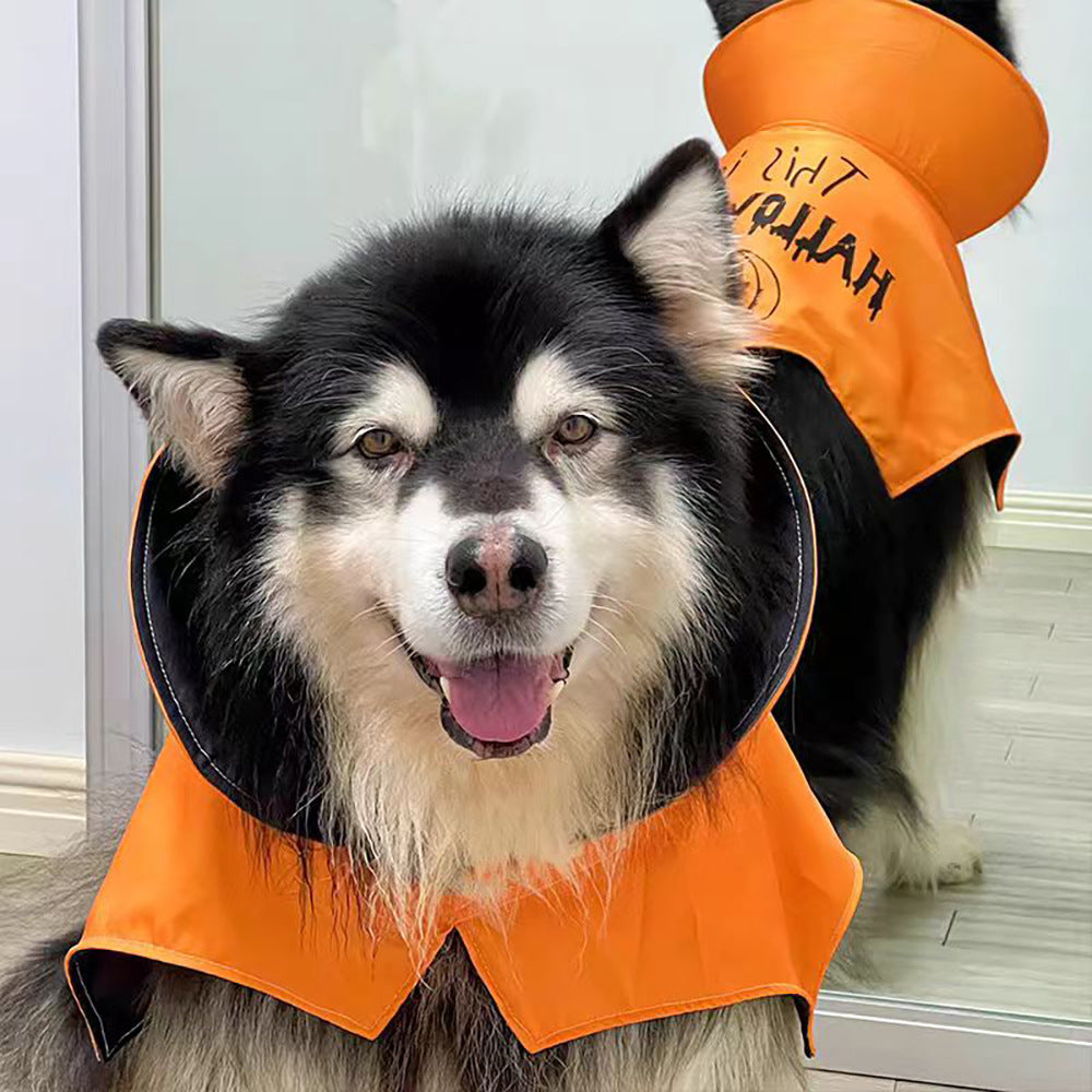 Dog Halloween Cape with Pumpkin Print & High Collar