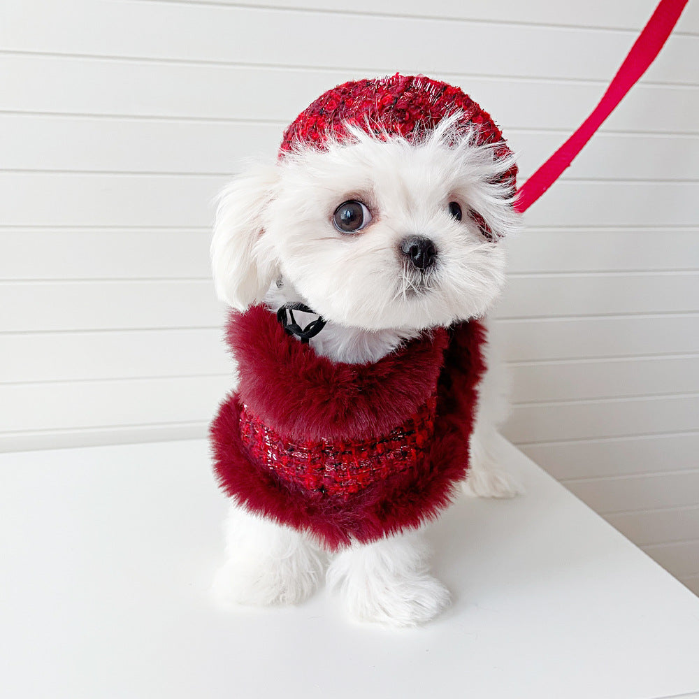 Dog cape+hat+leash sets wine tweed