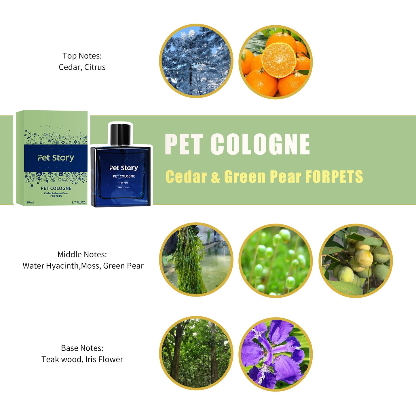 Cedar and Green Pear pet cologne scent chart with Pet Story 50 ml bottle, green box, and fragrance notes