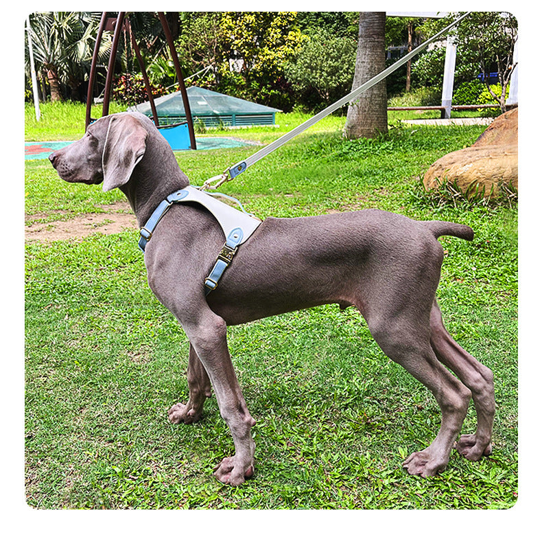 Luxury Leather Dog Harness & Leash Set – Adjustable, Comfortable & Durable