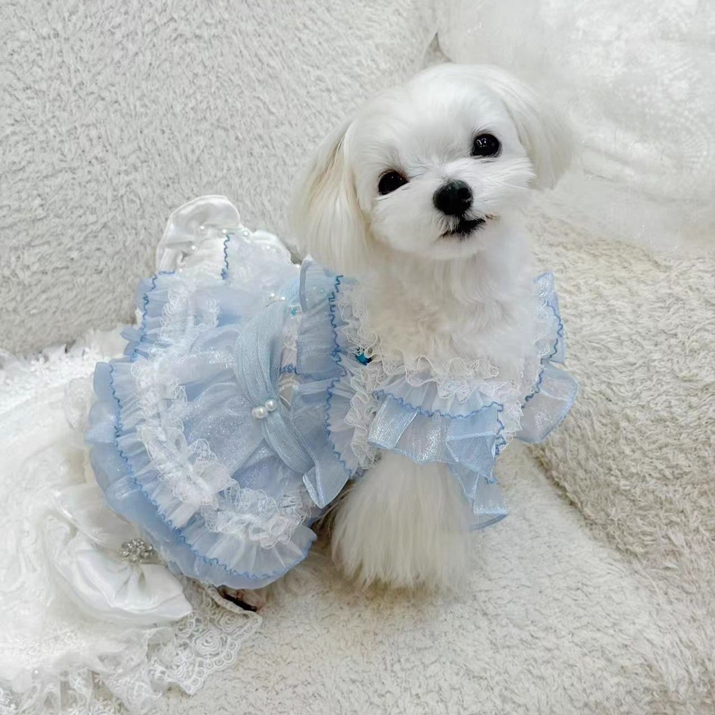 Handmade Cinderella Puppy Costume Dog Dress