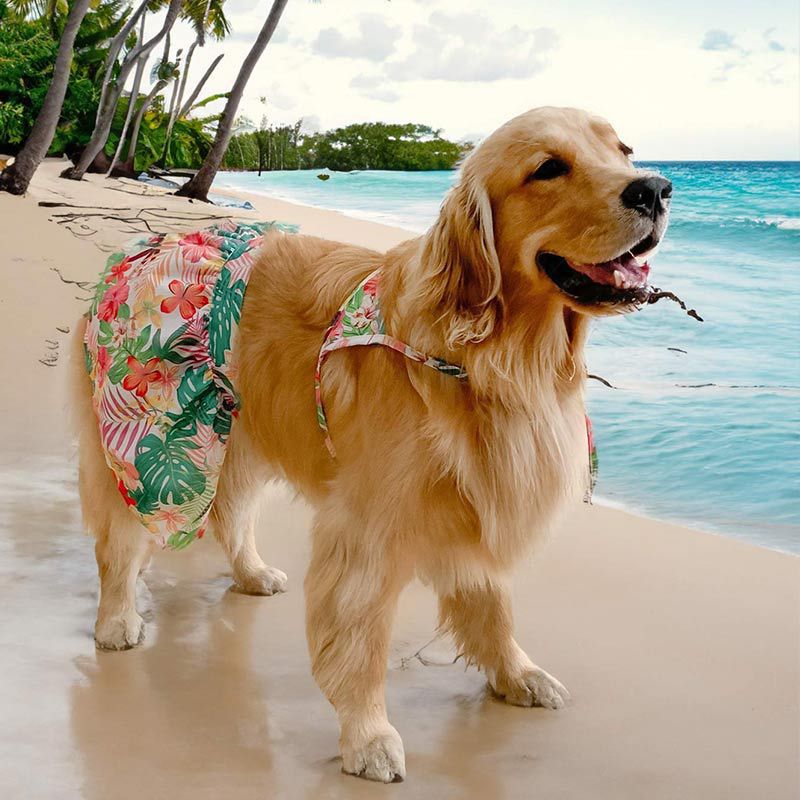 Dog bikini Hawaii beach swim wear for Large dog