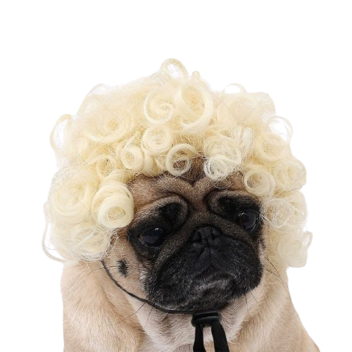 Dog wig costume