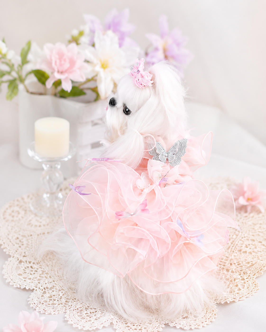Back view of small dog wearing pink butterfly fairy dress with layered ruffles, floral accents, and sparkling butterfly decoration