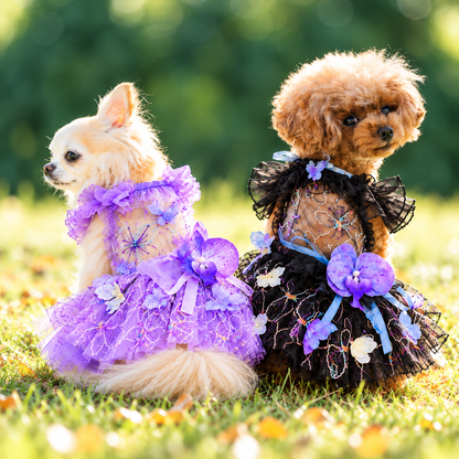 Two small dogs wearing Lavender and Black floral tulle pet dresses outdoors