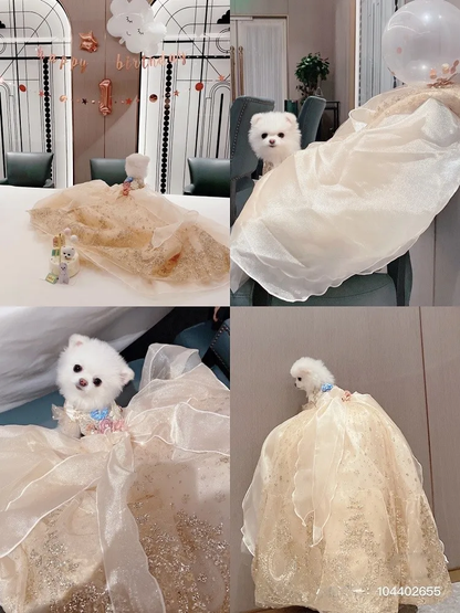 Champagne couture pet gown with sparkling gold mesh details