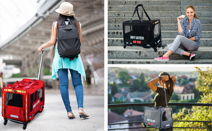 Rolling Pet Carrier – Bus Style Travel Bag with Wheels &amp; Mesh Panels