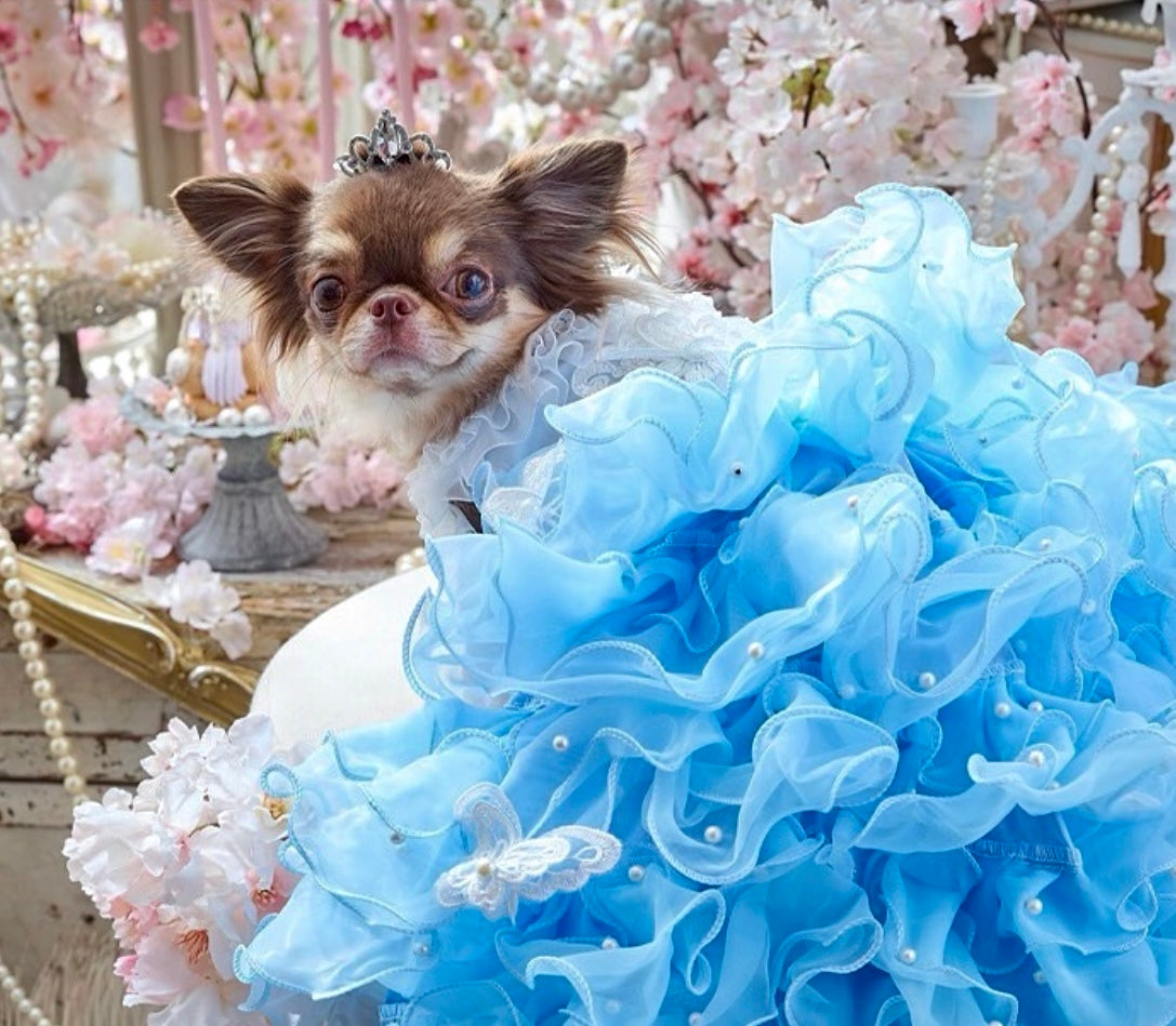 Blue ruffle puppy gown with pearl embellishments