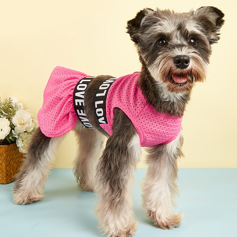 Small schnauzer wearing the rose pink LOVE 2-piece dog dress set