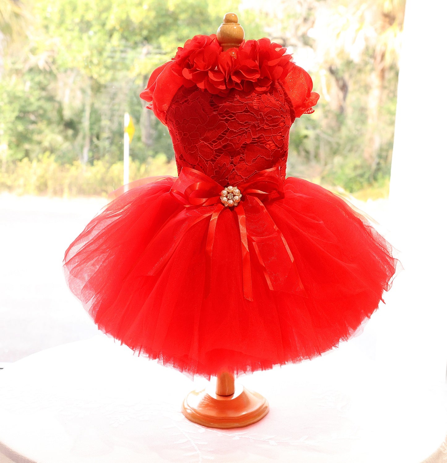 Dog Wedding Dress Red Rose Fairytale