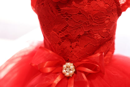 Dog Wedding Dress Red Rose Fairytale