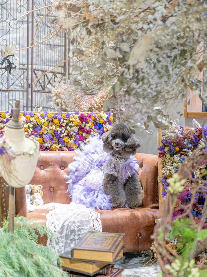 Dog Dress Feather Dream Princess Dress