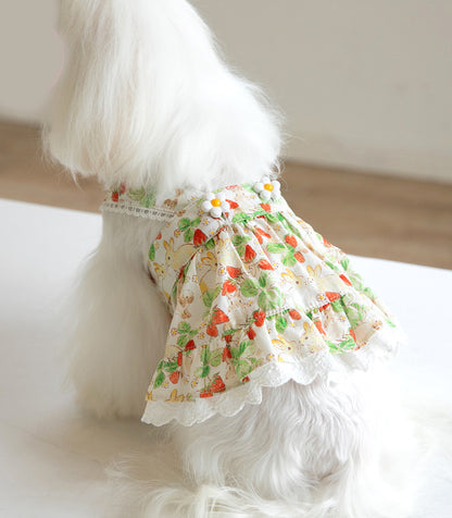 Floral Rabbit Print Pet Dress