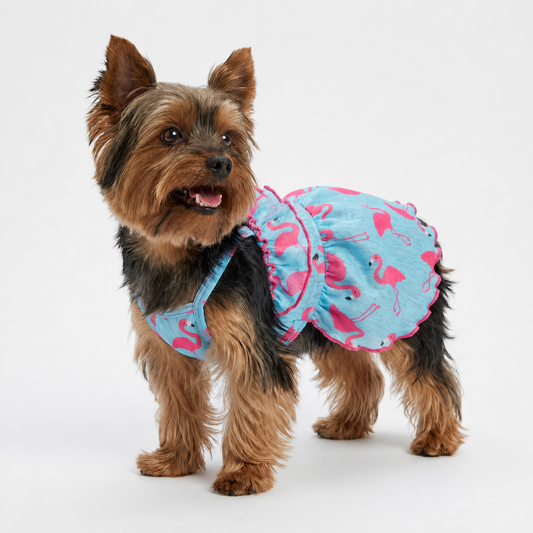 Yorkie wearing a blue flamingo ruffle dog dress with hot pink trim