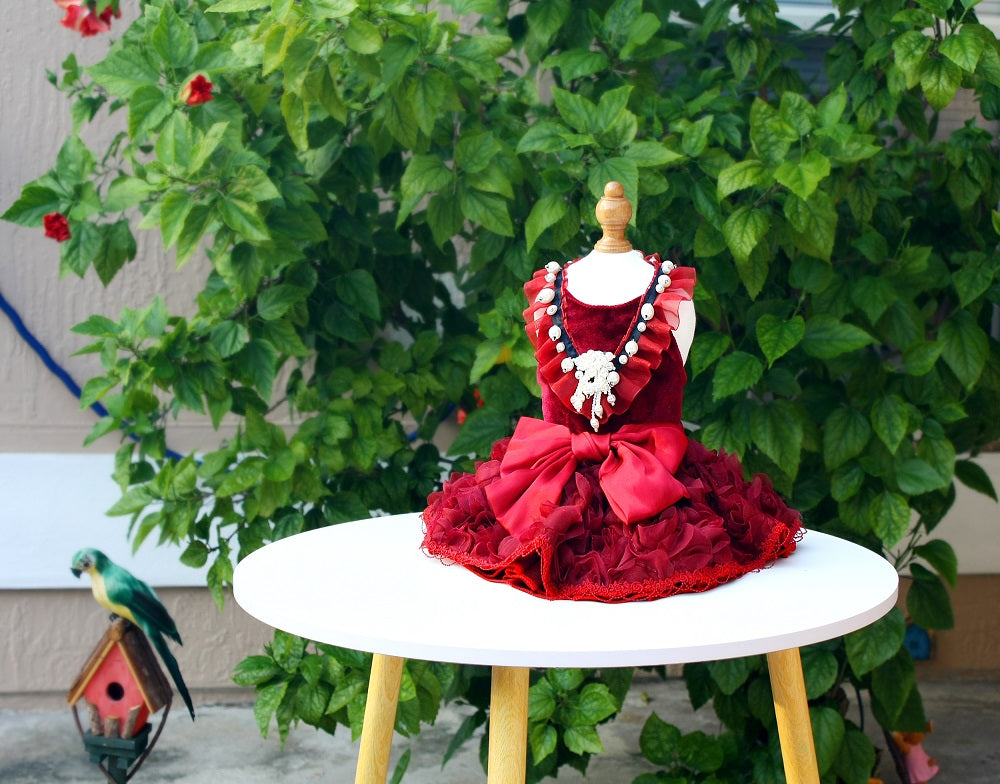 Ruby Rosette Pet Dress