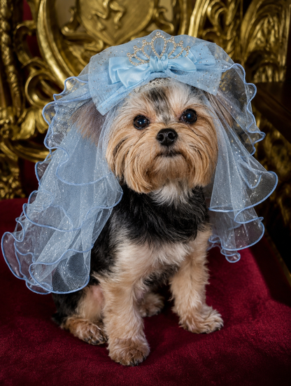 Dog portrait wearing blue tulle veil headpiece with silver-tone tiara and blue bow