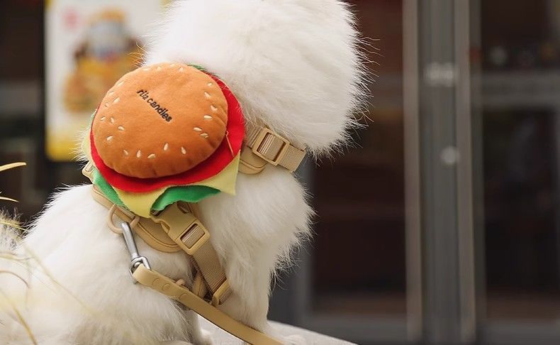 White dog wearing the hamburger dog harness with beige straps and matching leash