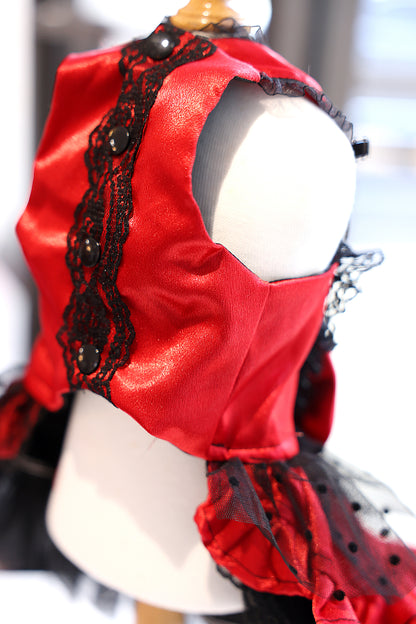 Red Black Gothic Lace Luxury Pet Dress