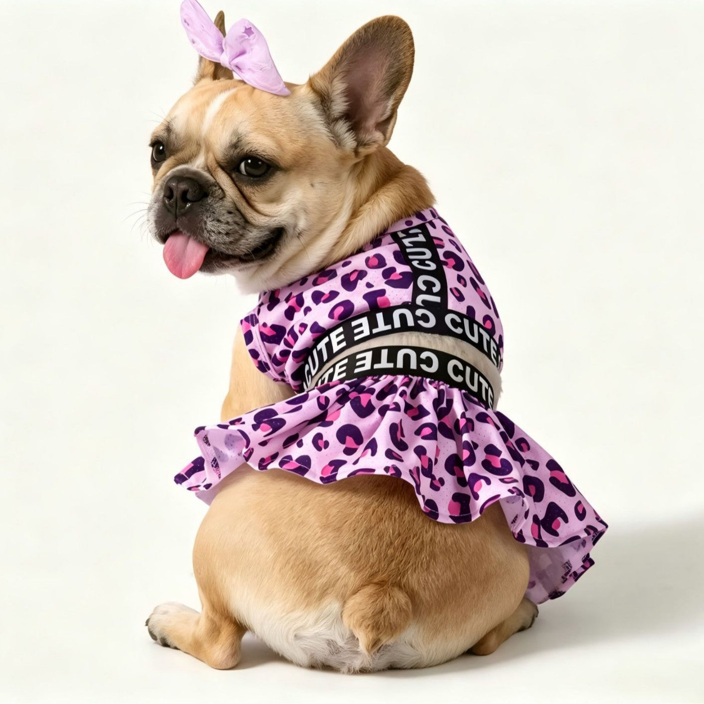 French bulldog wearing a pink leopard 2-piece dog dress set with black CUTE bands