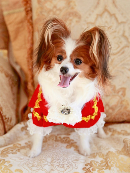 Handmade Regal French Court Dog Clothes Tailcoat Luxury Pet Suit With Shirt Lace and Gold Detailing