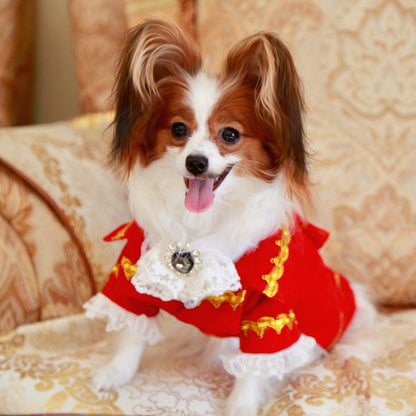 Handmade Regal French Court Dog Clothes Tailcoat Luxury Pet Suit With Shirt Lace and Gold Detailing