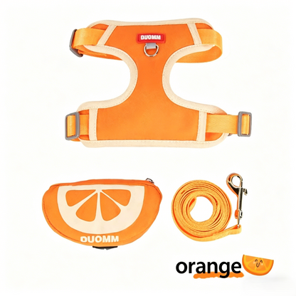 Orange Fruit Dog Harness and Leash Set with Mini Pouch product photo 1 from Jane's Pet Boutique