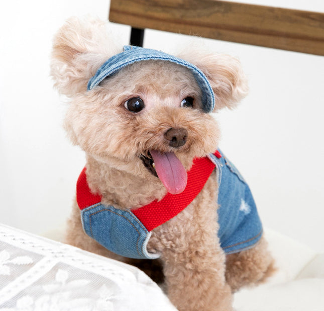 Denim Dog Overalls with Matching Hat - Adorable and Comfortable Pet Outfit