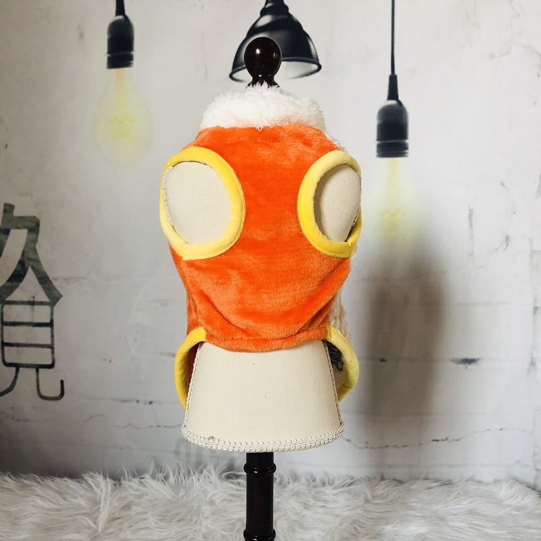 Dog outfit for winter Pooh