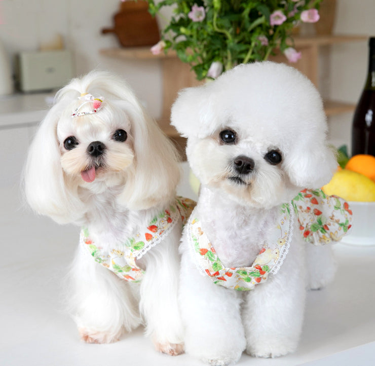 Floral Rabbit Print Pet Dress