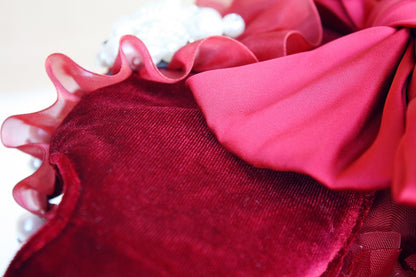 Ruby Rosette Pet Dress