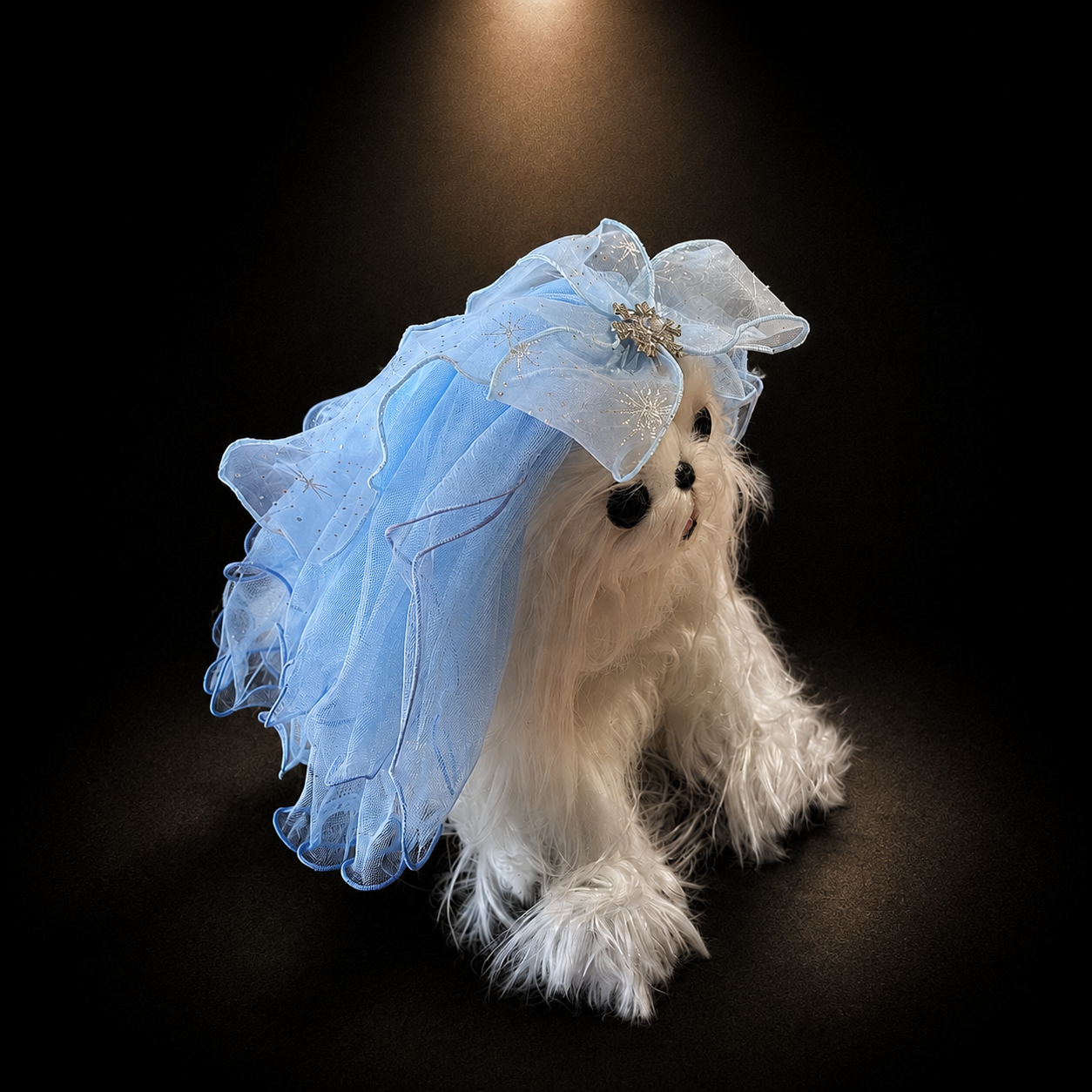 Small white dog wearing blue tulle flower pet veil hair clip with layered mesh ruffles