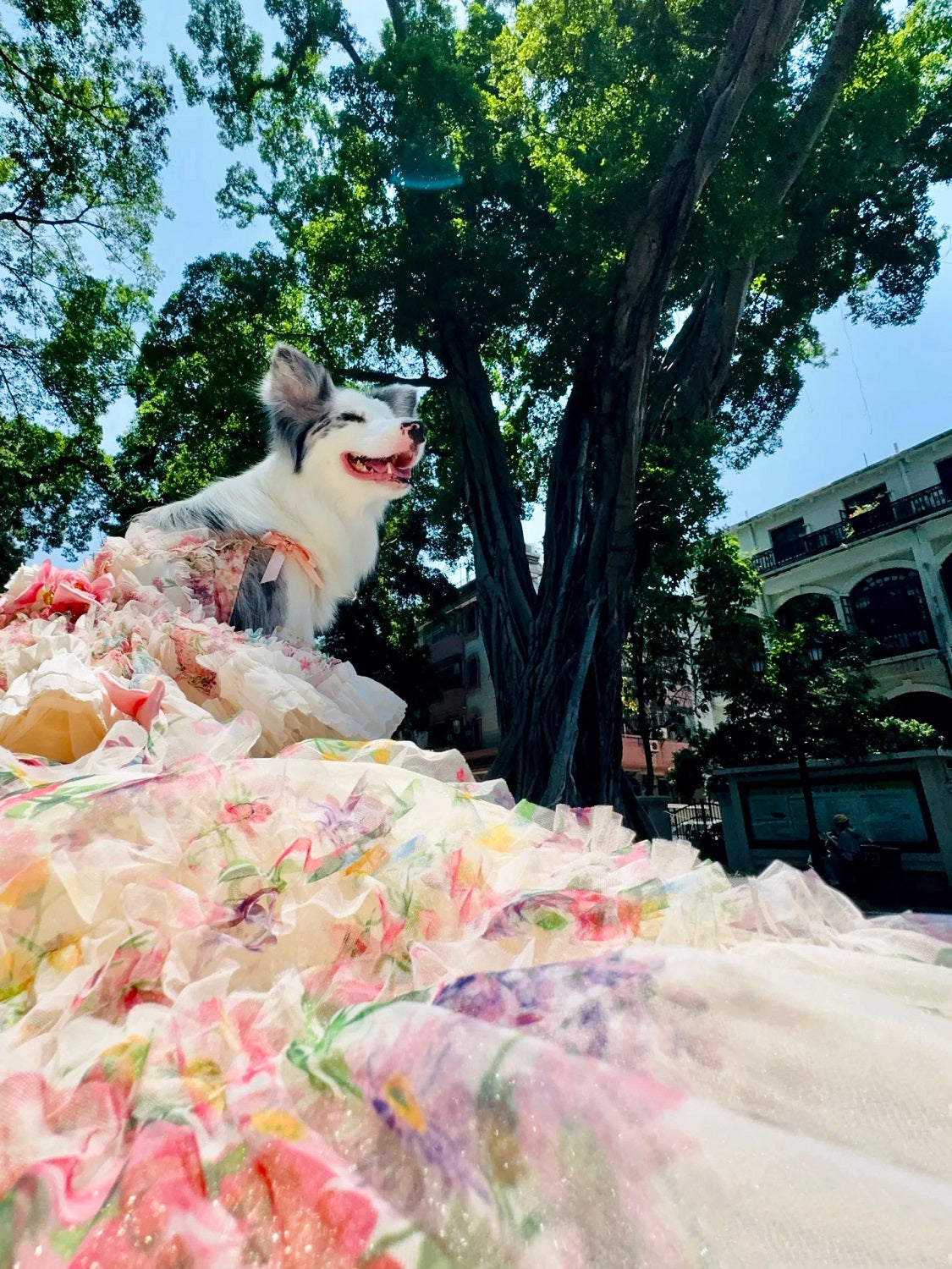 Floral Princess Dog Dress Ball Gown Trailing
